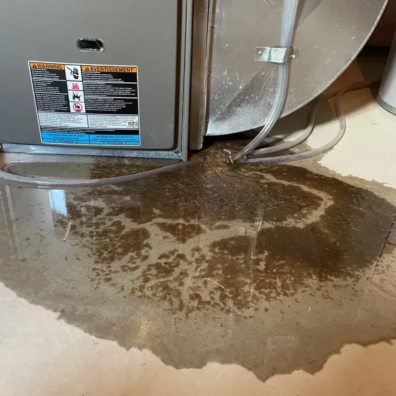 Appliance Leak Cleanup in Yoncalla, OR